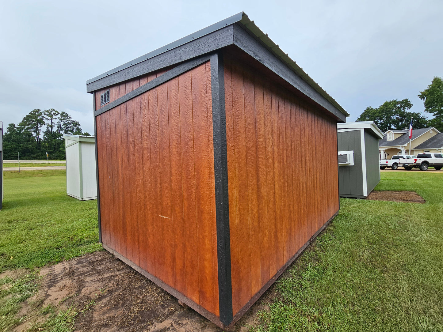 10x16 - Modern Shed High Wall